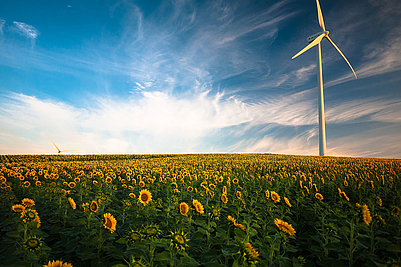 Windkraft Direktvermarktung – Wichtig um Klimaziele zu erreichen