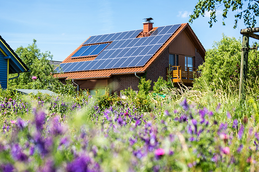 Blumenwiese mit Haus und Photovoltaikanlage am Dach